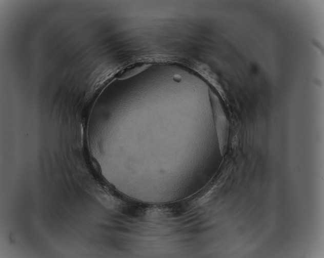 X0000091540109200709071113