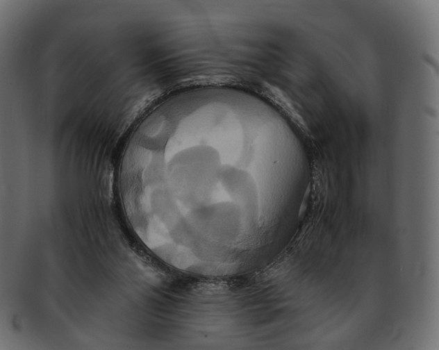 X0000091540110200709071113