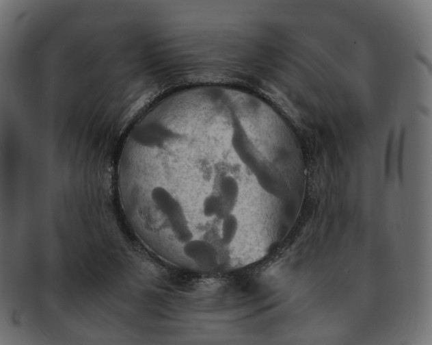 X0000091540111200709071113