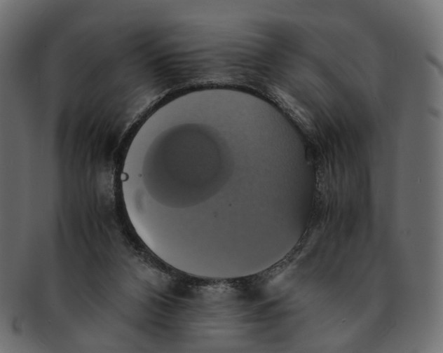 X0000091540112200709071113