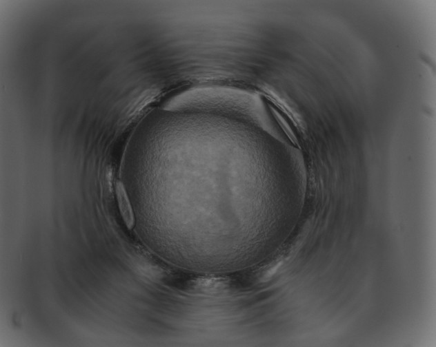 X0000091540117200709071113