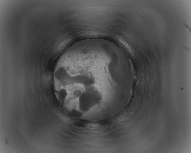 X0000091540119200709071113