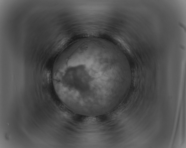 X0000091540123200709071113