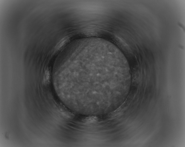 X0000091540124200709071113