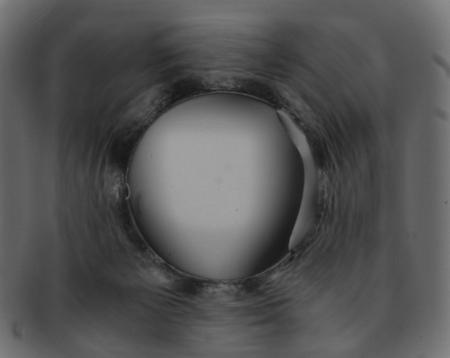 X0000091540125200709071113