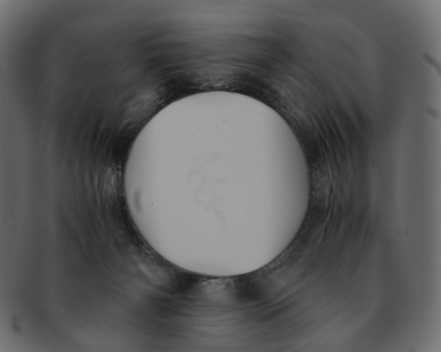 X0000091540126200709071113