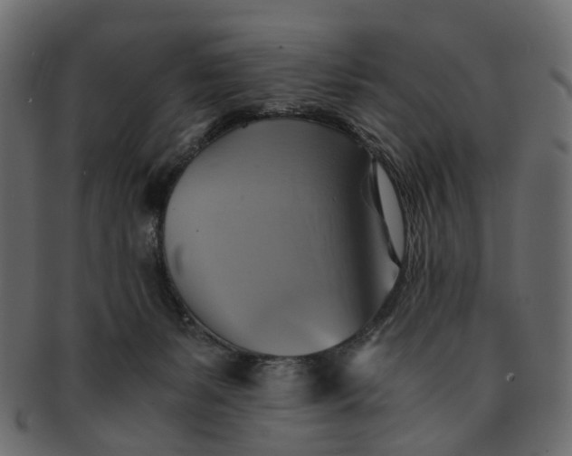 X0000091540127200709071113