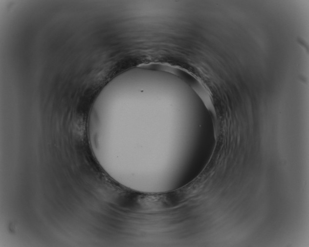 X0000091540129200709071113