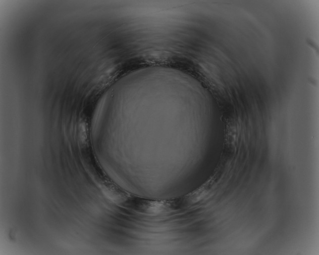 X0000091540130200709071113