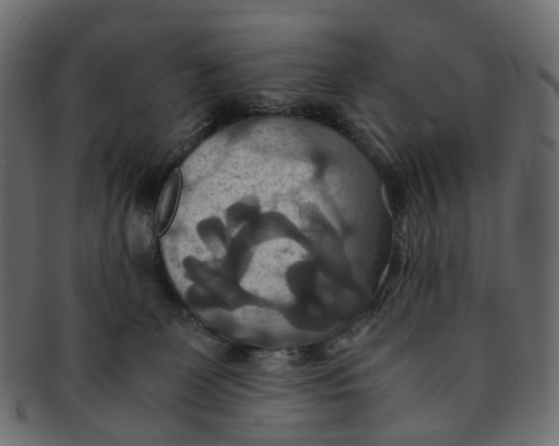 X0000091540131200709071113