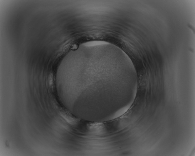 X0000091540132200709071113