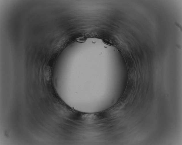 X0000091540133200709071113