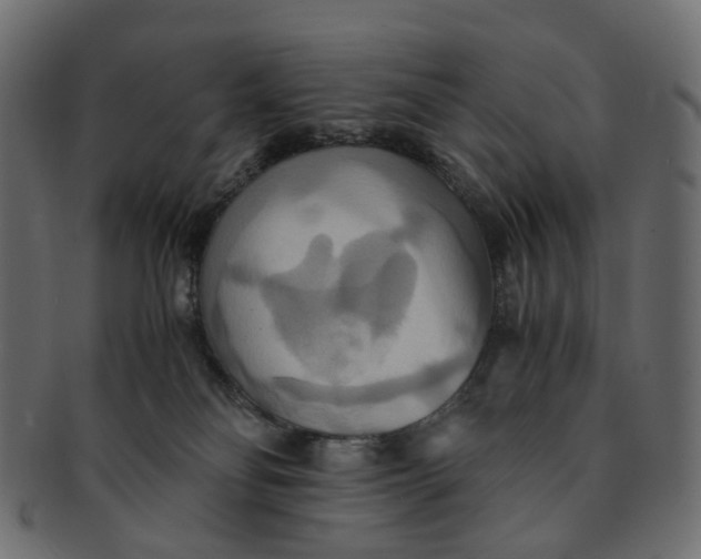 X0000091540134200709071113