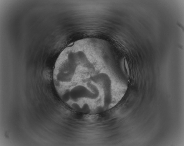 X0000091540135200709071113