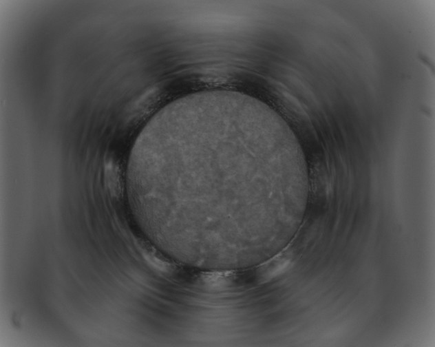 X0000091540136200709071113