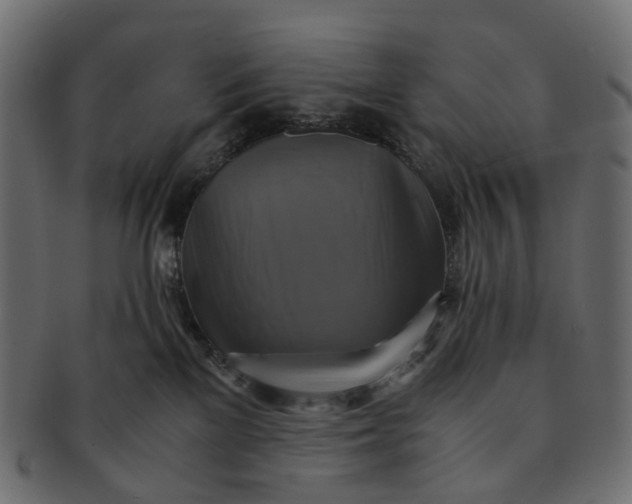 X0000091540137200709071113