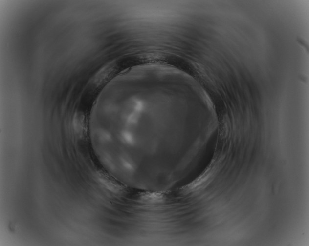 X0000091540140200709071112