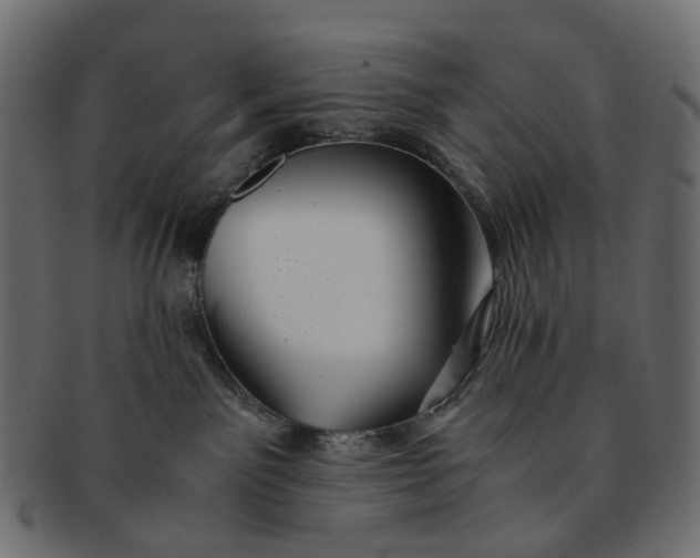 X0000091540141200709071112