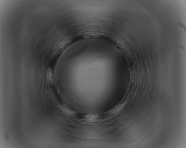 X0000091540143200709071112