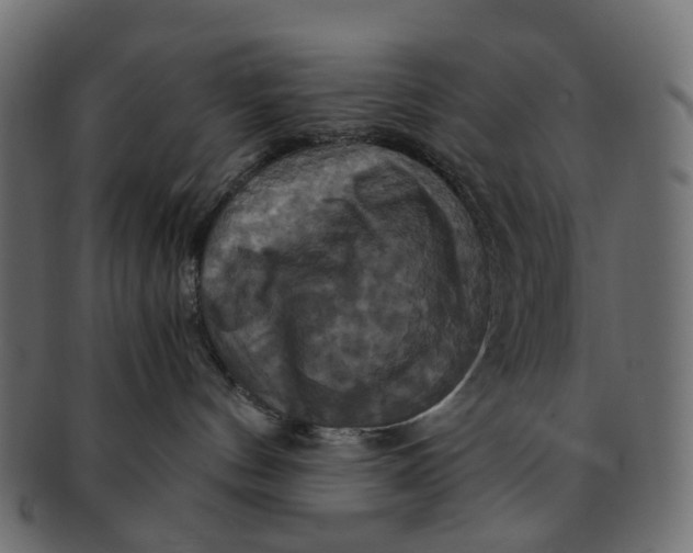 X0000091540144200709071112