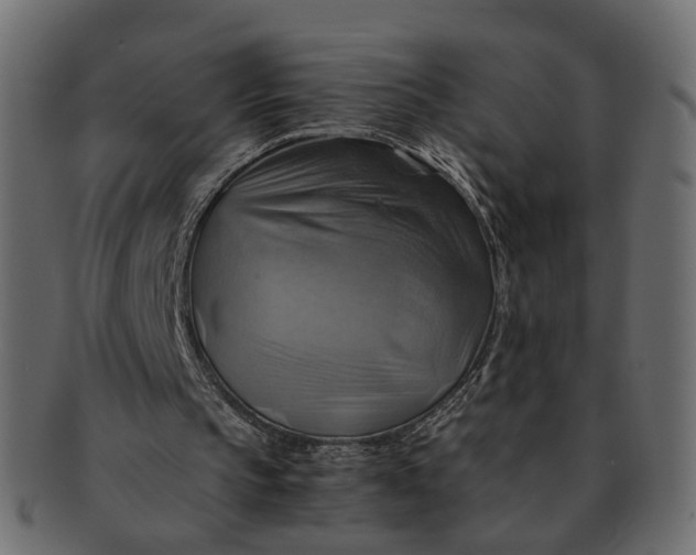 X0000091540145200709071111