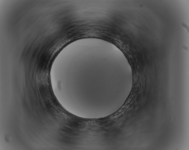 X0000091540146200709071111