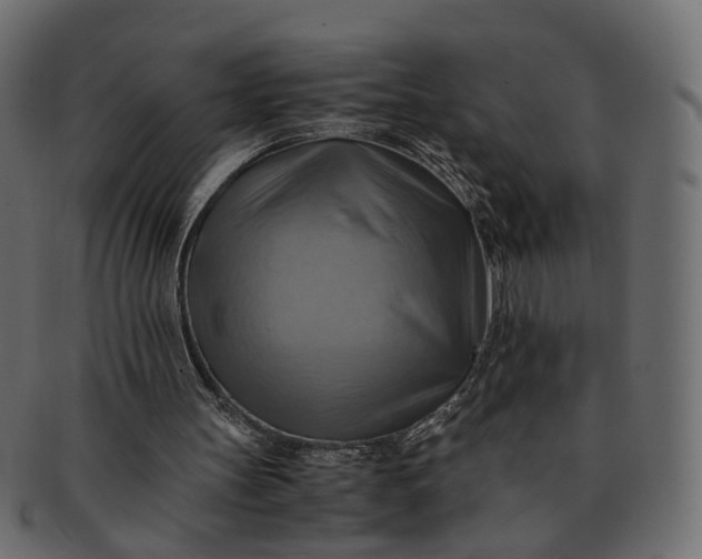 X0000091540147200709071112