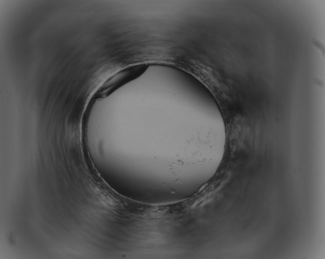 X0000091540148200709071112