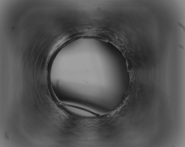 X0000091540150200709071112