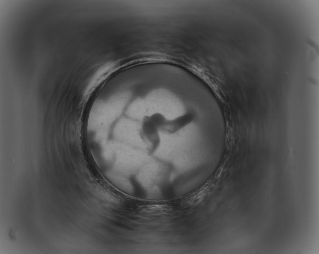 X0000091540151200709071112