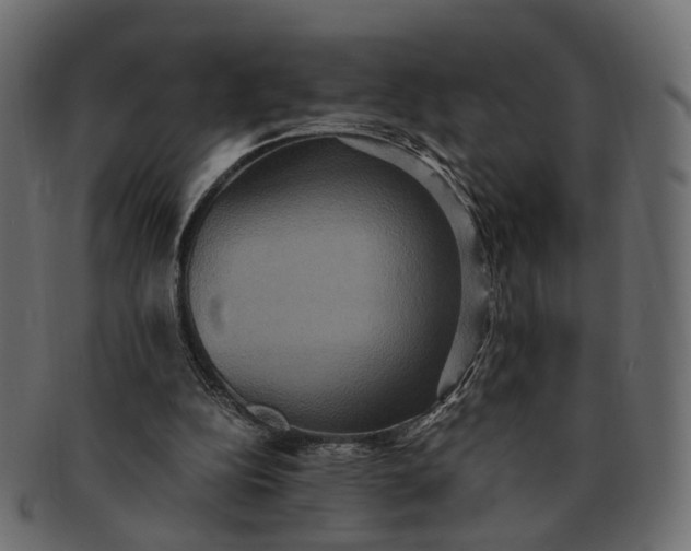 X0000091540152200709071112