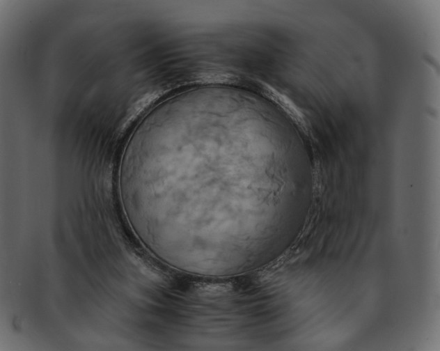 X0000091540155200709071112