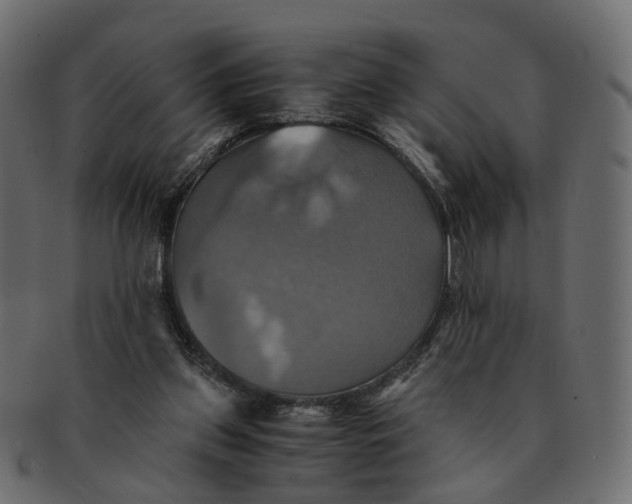 X0000091540157200709071112