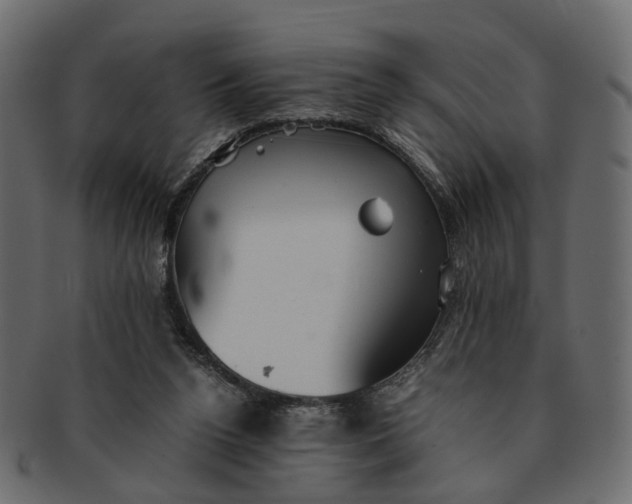 X0000091540160200709071112