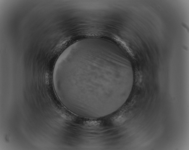 X0000091540161200709071112