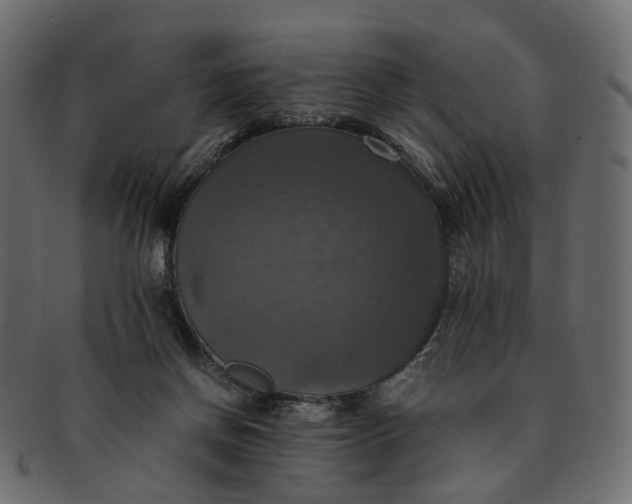 X0000091540166200709071112