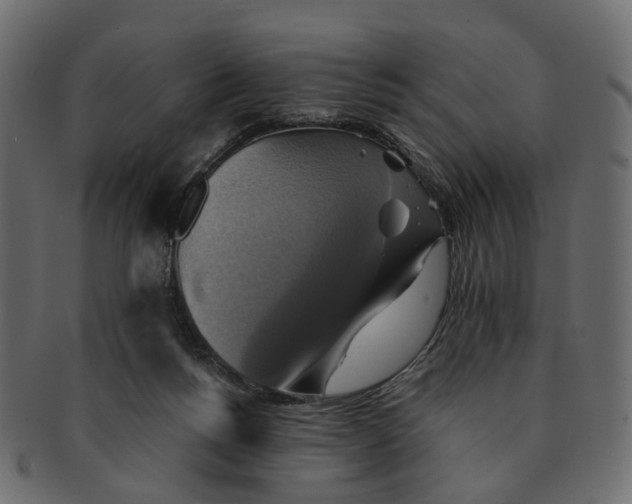 X0000091540168200709071112