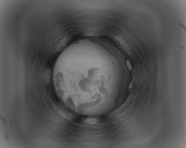 X0000091540171200709071112