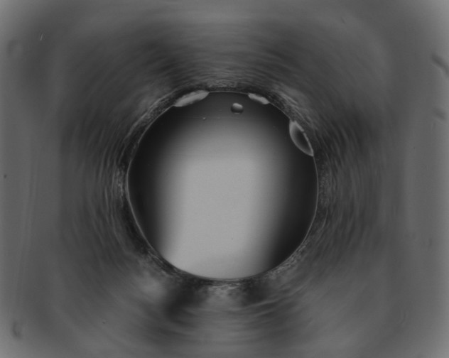 X0000091540172200709071112