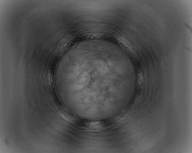 X0000091540173200709071112