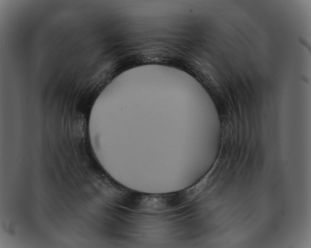 X0000091540174200709071112