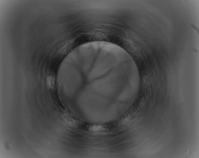 X0000091540177200709071112