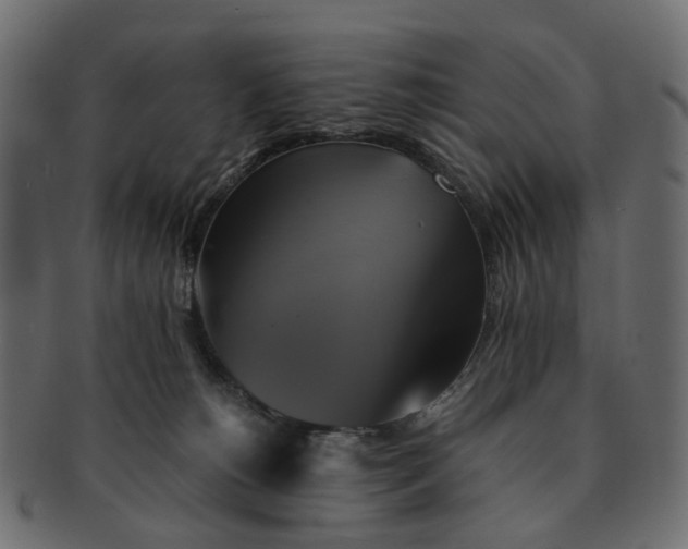 X0000091540180200709071112