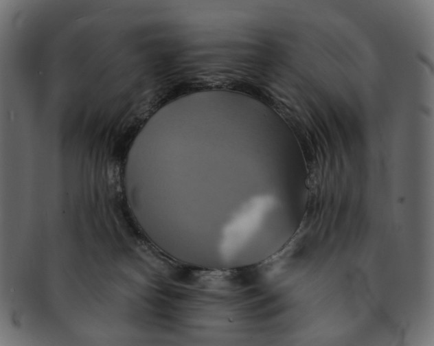 X0000091540182200709071112