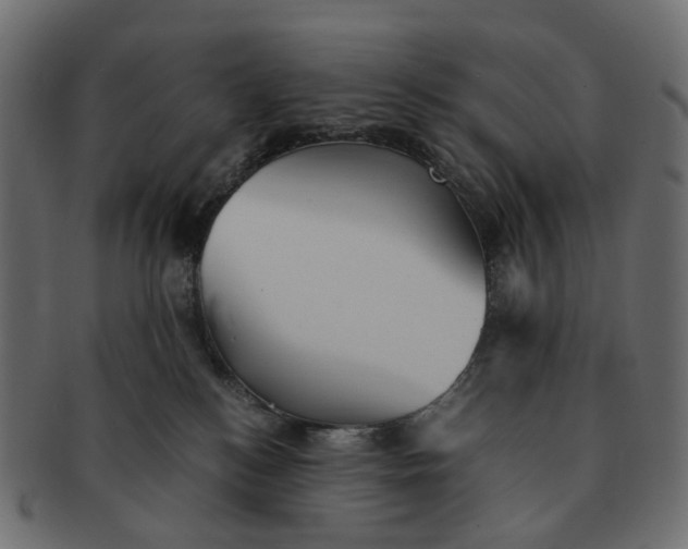 X0000091540184200709071112