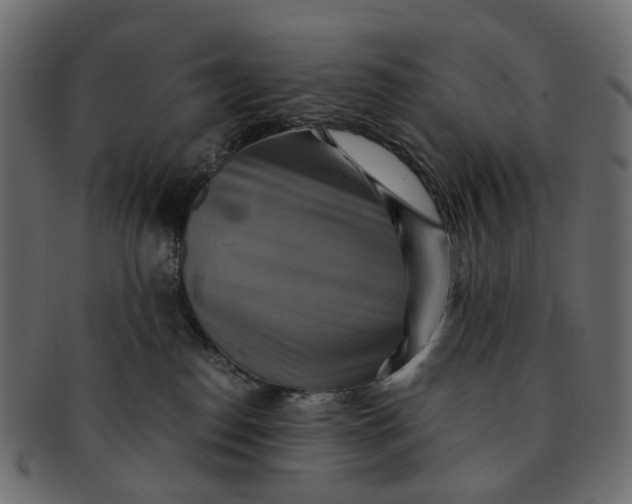 X0000091540186200709071112