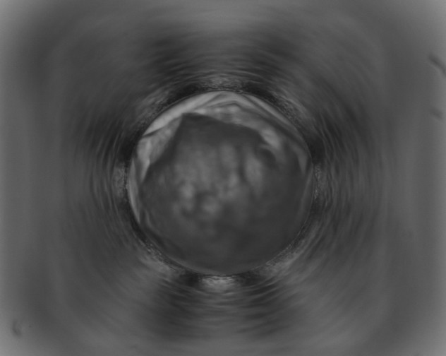 X0000091540189200709071112