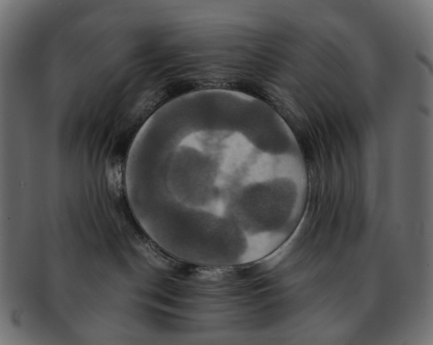 X0000091540190200709071112