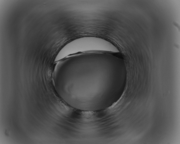 X0000091540192200709071112