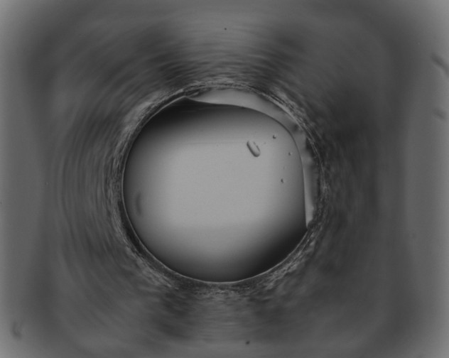 X0000091540193200709071111